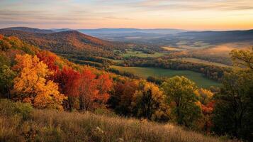 A view of a valley with trees and hills photo