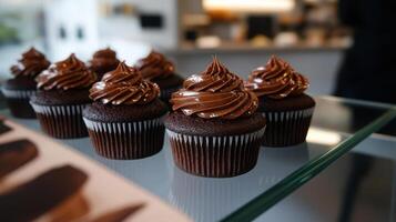 A glass display case with chocolate cupcakes photo