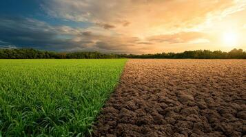 contrasting landscape showing green grass one side and dry, cracked soil other, symbolizing photo
