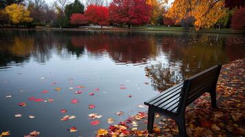 A black bench sitting in the middle of a lake photo