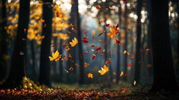 Falling leaves in serene forest during autumn, showcasing vibrant colors photo