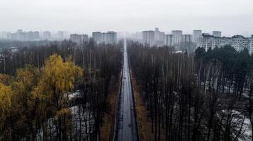 foggy cityscape with road lined by trees and buildings in distance photo