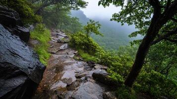 mountain trail during rainy season with slippery rocks and lush greenery photo