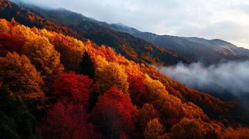 Vibrant autumn landscape with colorful fall foliage and misty mountains photo