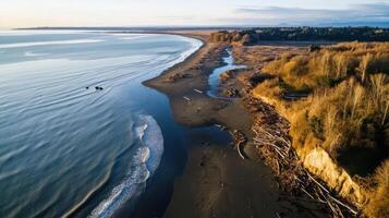 Eroded coastal ecosystem with sandy beach and driftwood at sunset photo