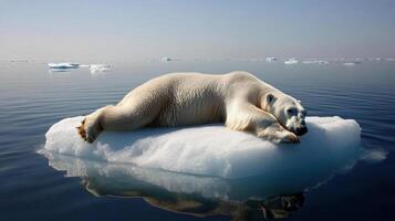 polar bear resting on shrinking ice floe in serene ocean setting photo