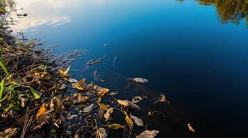 polluted river with aquatic life disappearing, surrounded by fallen leaves photo