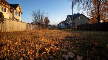 suburban backyard with dry grass and autumn leaves under clear sky photo