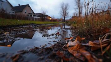 suburban backyard with muddy water, dead grass, and fallen leaves photo