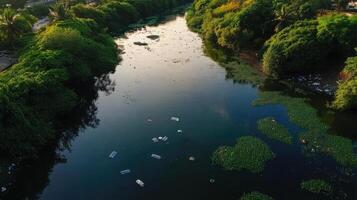 polluted river with floating plastic waste and green vegetation reflects environmental issues photo