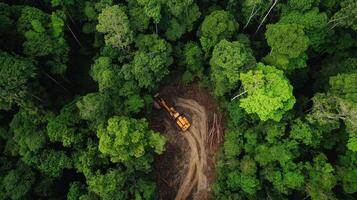 Logging machine in lush green forest clearing photo