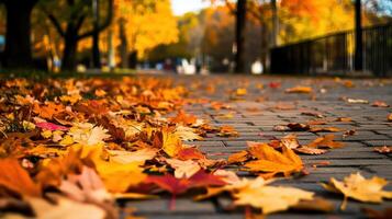 Colorful autumn leaves on brick path in scenic park photo