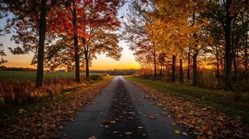 serene rural road lined with vibrant autumn trees photo
