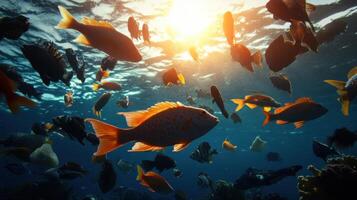 A group of fish swimming in the ocean photo