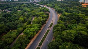 Aerial view of winding road surrounded by lush greenery photo