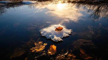 small ice floe with autumn leaves reflects in water photo