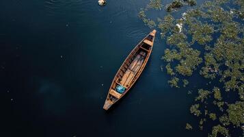 traditional fishing boat floating on dark water with algae photo
