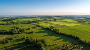 Lush green farmland under clear blue sky with rolling hills photo