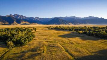 vast landscape of golden grass and mountains photo