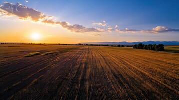 vast farm field under sunset sky with distant mountains photo