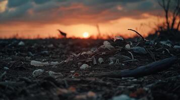 landfill site filled with plastic waste at sunset photo