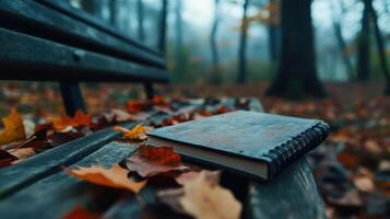 Autumn book on a bench in the woods photo