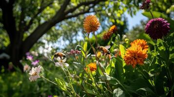 Vibrant spring garden with blooming flowers and busy bees photo