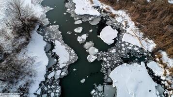 Melting ice floes on river with dark water and snow photo