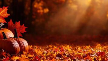 Autumn harvest with pumpkins and colorful leaves in sunlight photo