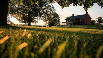 Classic farmhouse with cows grazing in lush green field photo
