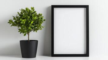 Minimalist black frame with blank space and green plant photo