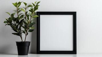 Black frame mockup with plant on white background photo