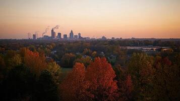 A view of the city skyline from a hillside photo