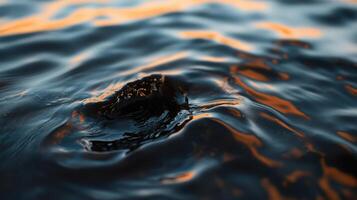 Dark water surface with ripples reflecting warm light photo