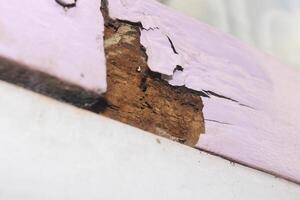 A close up of a piece of wood with a crack in it photo