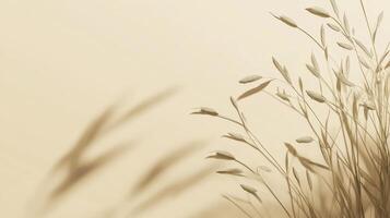 Golden grass sways gently in the warm light casting soft shadows on a serene background during the golden hour of sunset photo