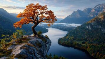 Majestic Autumn Landscape Solitary Tree on a Cliff Overlooking a Serene Lake and Mountain Range photo