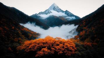 Majestic Snowy Mountain Peak Soaring Above Autumnal Forest Foggy Valley Breathtaking Landscape photo