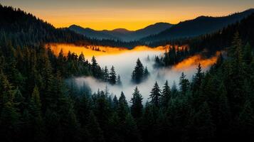 Majestic Sunset over Foggy Mountain Forest Landscape Tranquil Evergreen Trees and Misty Valley at Dawn photo