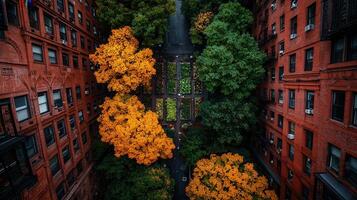 Aerial View of Autumnal City Garden Between Brick Buildings Golden leaves trees surround a vibrant community garden photo