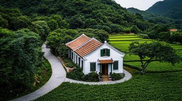 Serene Asian House nestled in Lush Green Tea Plantation with Winding Stone Path photo