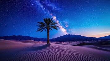 Majestic Night Scene Palm Tree Desert Landscape under Milky Way Galaxy Starry Sky photo