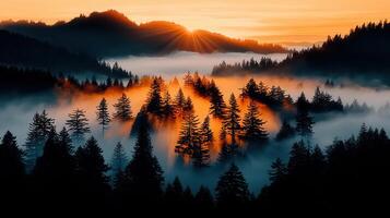 Majestic Sunset Over Foggy Mountain Forest Landscape Golden hour light illuminating pine trees Serene nature scene photo