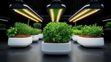 Indoor Gardening System with LED Grow Lights Cultivating Fresh Herbs in Modern White Planters photo