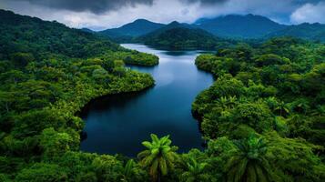 Serene River Winding Through Lush Tropical Rainforest Landscape Under Cloudy Sky Aerial View of Nature photo