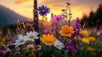 Vibrant Wildflowers Blooming at Sunset in a Meadow A Stunning Summer Landscape photo
