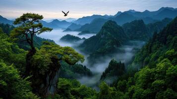 Majestic Mountain Landscape with Foggy Valley and Bird in Flight Scenic View of Lush Green Forest photo