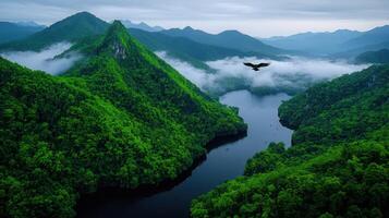 Majestic Bird Soaring Over Lush Green Mountains and Serpentine River Valley photo