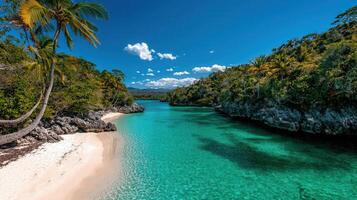 Secluded Tropical Beach Paradise Crystal Clear Turquoise Water and Lush Palm Trees photo
