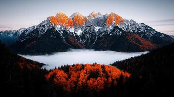 Majestic snow capped mountains at sunrise over a valley shrouded in mist with vibrant autumn foliage photo